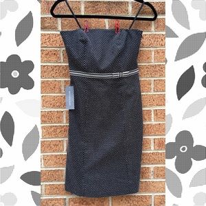 NWT Ann Taylor Polka Dot Dress